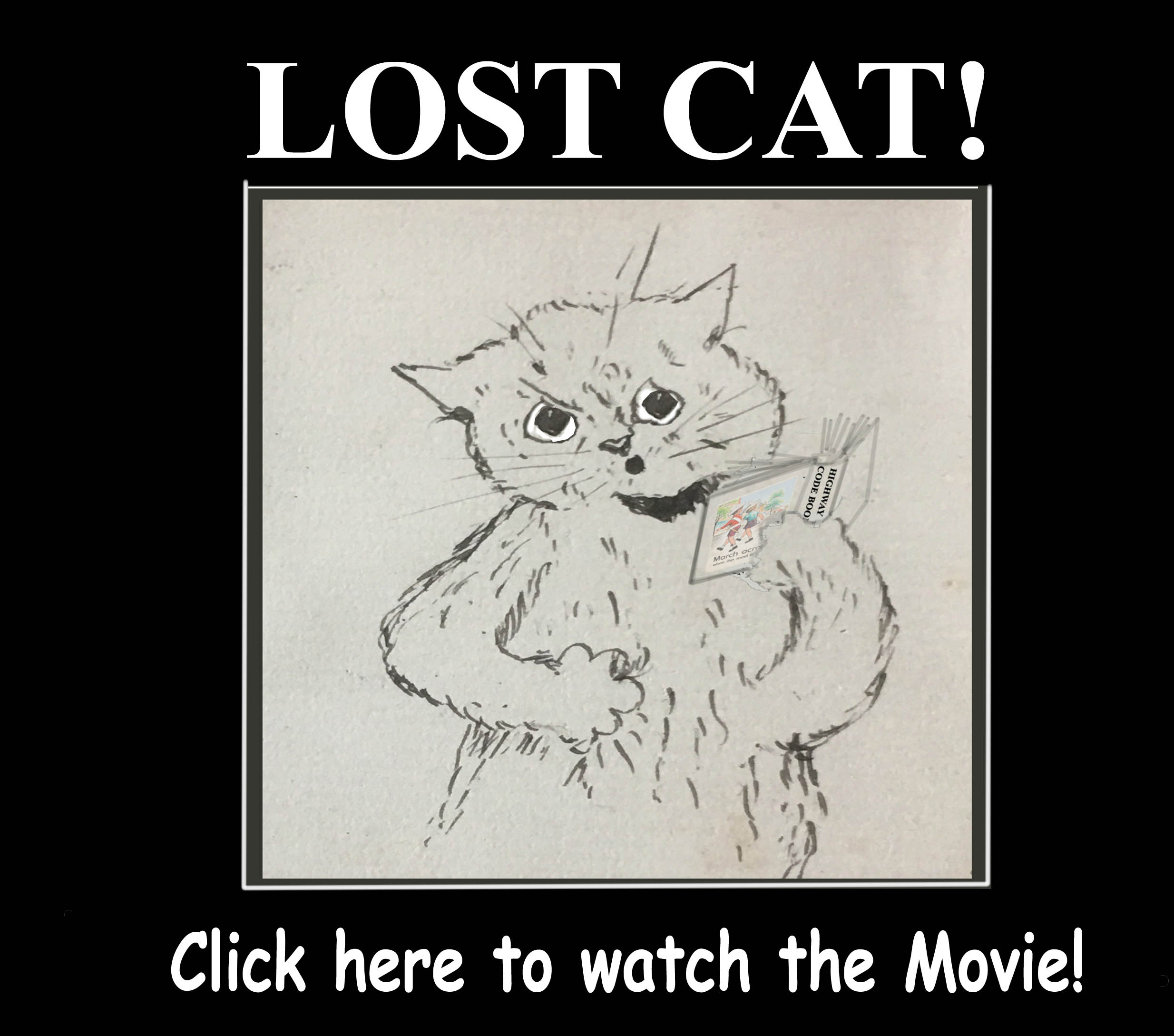 lost cat! watch the movie